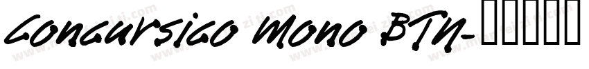 Concursico Mono BTN字体转换